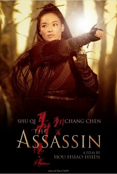 The Assassin (2015)