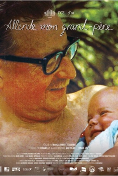 Allende, mi abuelo Allende  (2014)