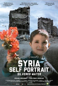 Silvered Water (Syria Self-portrait)  (2014)