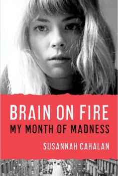 Brain On Fire (2015)