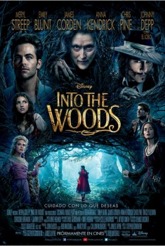 Into the Woods  (2014)