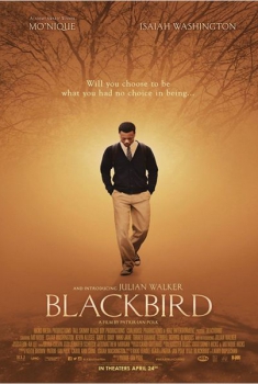 Blackbird  (2014)
