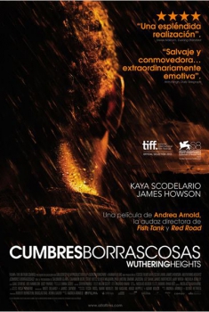 Cumbres borrascosas  (2011)