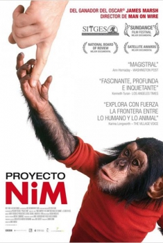 Proyecto Nim  (2011)