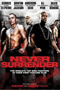 Never Surrender  (2009)
