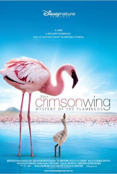 The Crimson Wing: Mystery of the Flamingos  (2008)