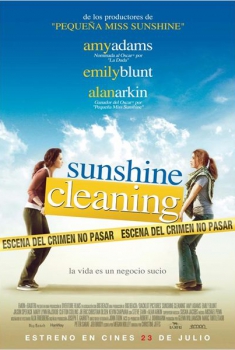 Sunshine Cleaning  (2008)
