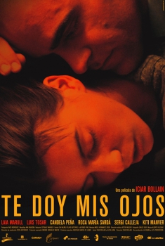 Te doy mis ojos (2004)