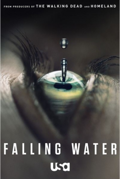Falling Water