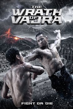 The Wrath of Vajra (Jin Gang Wang) (2013)