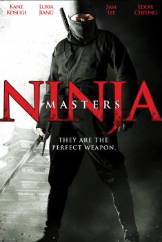 Ninja Masters (2013)