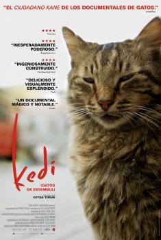 Kedi (Gatos de Estambul) (2016)